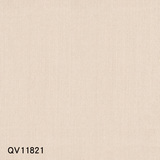 QV118(21-25)