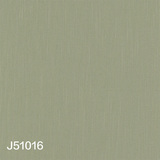 J51(016-020)