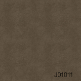 J01(011-015)