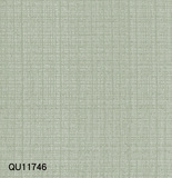 QU117(46-50)