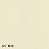 QV118(06-10)